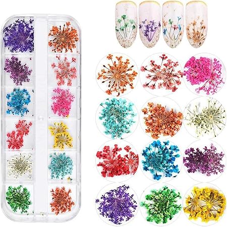 GV238 THR3E STROKES 12 Colors Dried Flowers for Nail Art, 1 Box Dry Flowers Mini Real Natural Flowers Nail Art Supplies 3D Applique Nail Decoration Sticker Decor (A)
