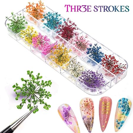 GV238 THR3E STROKES 12 Colors Dried Flowers for Nail Art, 1 Box Dry Flowers Mini Real Natural Flowers Nail Art Supplies 3D Applique Nail Decoration Sticker Decor (A)