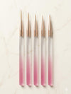 GV1017 5 PCS Nail Art Brush Set – Professional Nail Design Brushes Kit Color may Vary